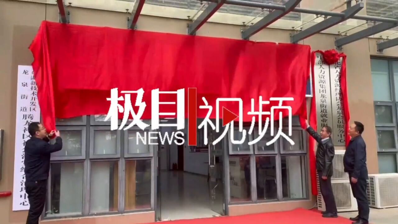 【视频】光谷就业超市服务延伸到武汉新城龙泉山片区