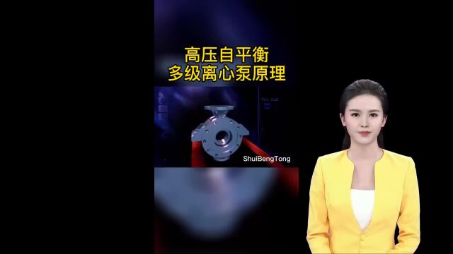 美国劳斯ROUTHANSI进口离心泵立式管道流程泵