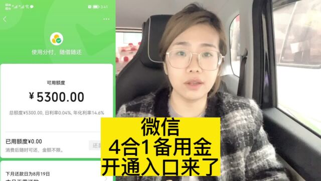 微信新技能“3.0版备用金”金额9000?你有多少呢?