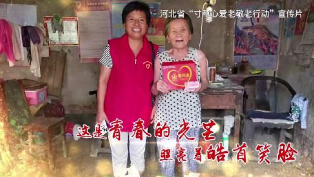 河北共青团“寸草心爱老敬老行动”学习交流活动在保定市举办