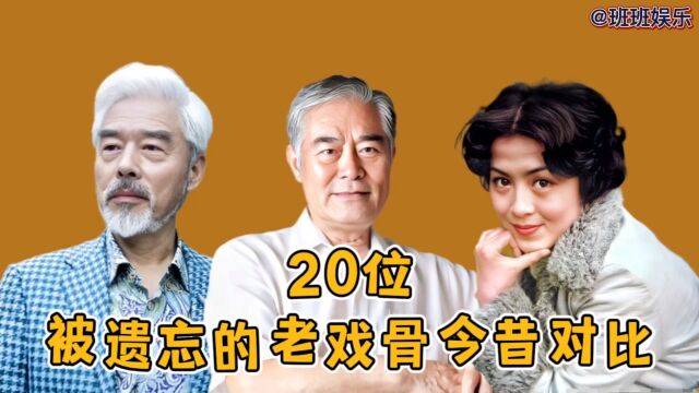 20位被遗忘的老戏骨今昔对比,张世会堪称国民男友,陈肖依为冻龄女神