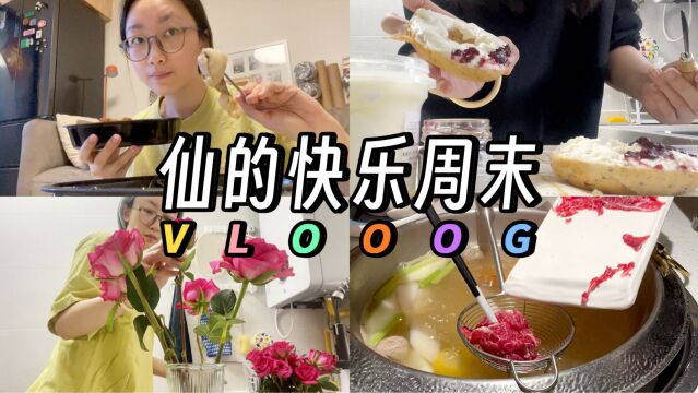 VLOG|网购鲜花开箱|全国第一的奶酪店|潮汕牛肉火锅我来了!