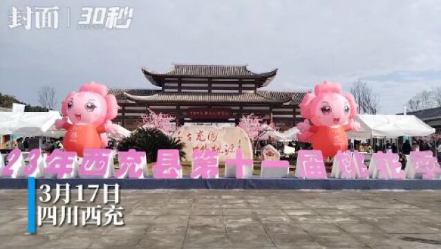 30秒|四川西充县第十一届桃花季开幕