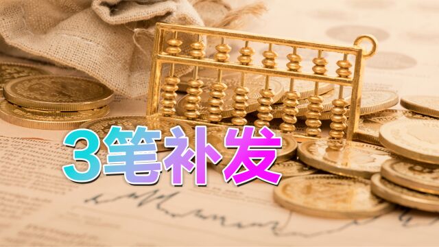 2023年机关事业单位的退休中人,能领到这几笔钱,你都知道吗?