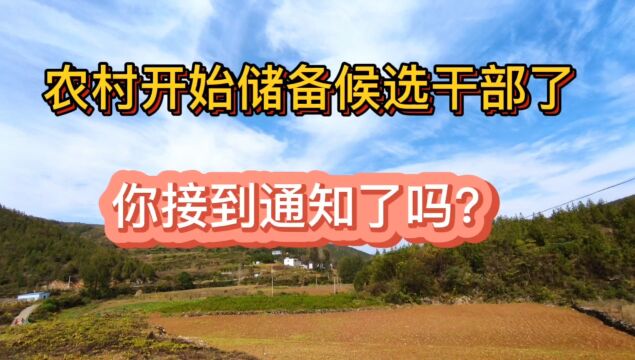 农村开始储备候选干部了,你接到通知了吗?