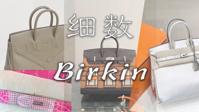 Vlog1653爱马仕有多少种铂金包?|Birkin与它的变化们