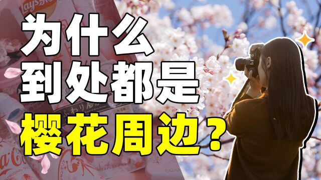 春天的花这么多,为什么樱花成了顶流?