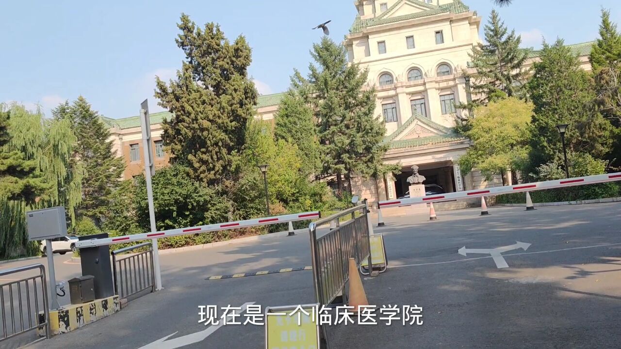 吉林长春,繁不繁华,一条街建的像公园