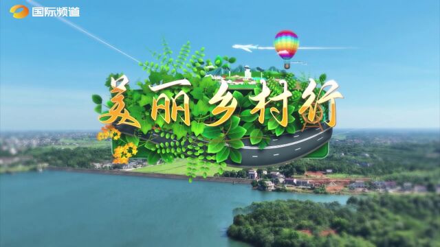 美丽乡村行丨徜徉湖南省植物园邂逅花海,品尝衡东黄贡椒征服味蕾