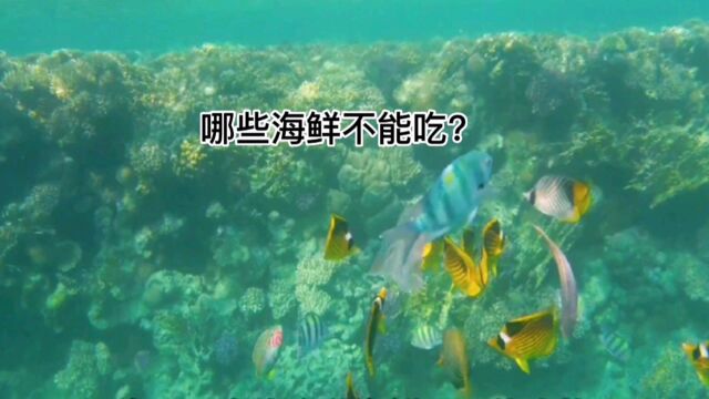 哪些海鲜不能吃?