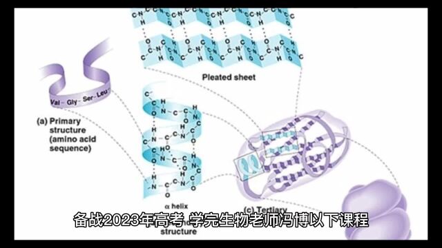 高考生物必考题型