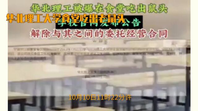 网友爆料华北理工大学食堂疑似出现鼠头异物