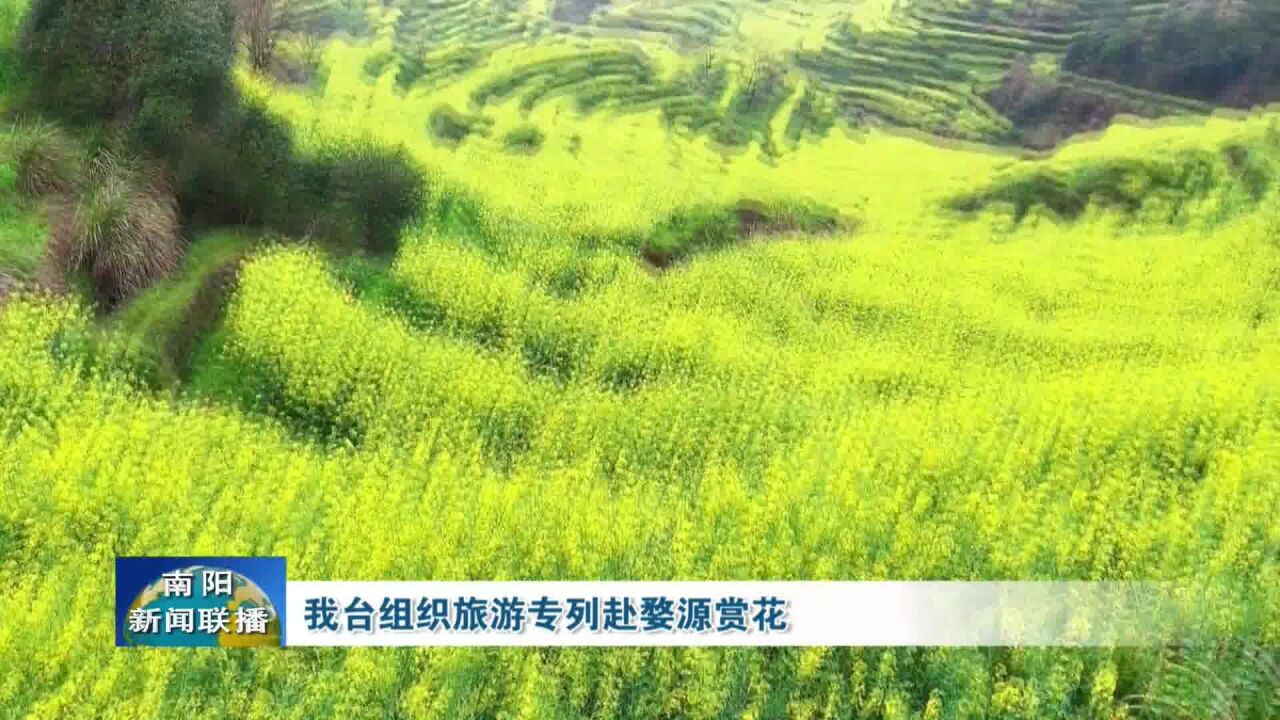 南阳广播电视台组织旅游专列赴婺源赏花