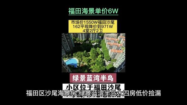 福田区沙尾海景房,仅此一套