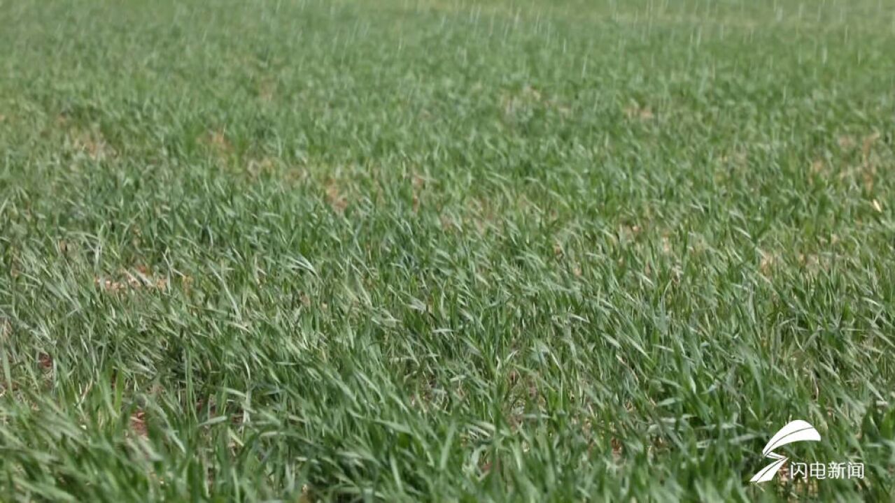 乐陵:智慧高效灌溉设备 助力粮食生产节本增效