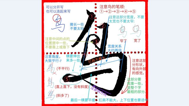 《千字文行书学习》第0077字 ⷠ鸟