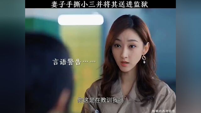 婚姻的两种猜想TV版 妻子手撕小三