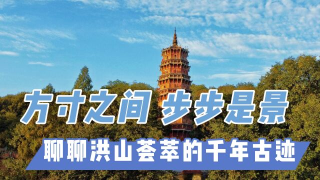 【寻城记4】方寸之景,步步是景,聊聊洪山荟萃的千年古迹