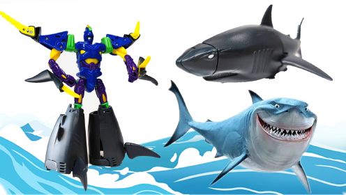 咖宝车神之巨兽时代 银鲨艾依机甲变形金刚玩具试玩
