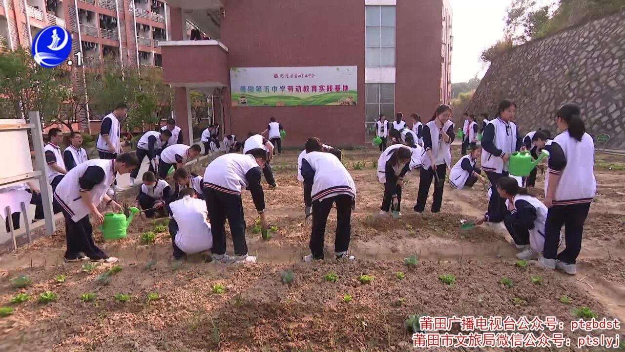 莆田五中:农耕进校园 喊你来“种地”