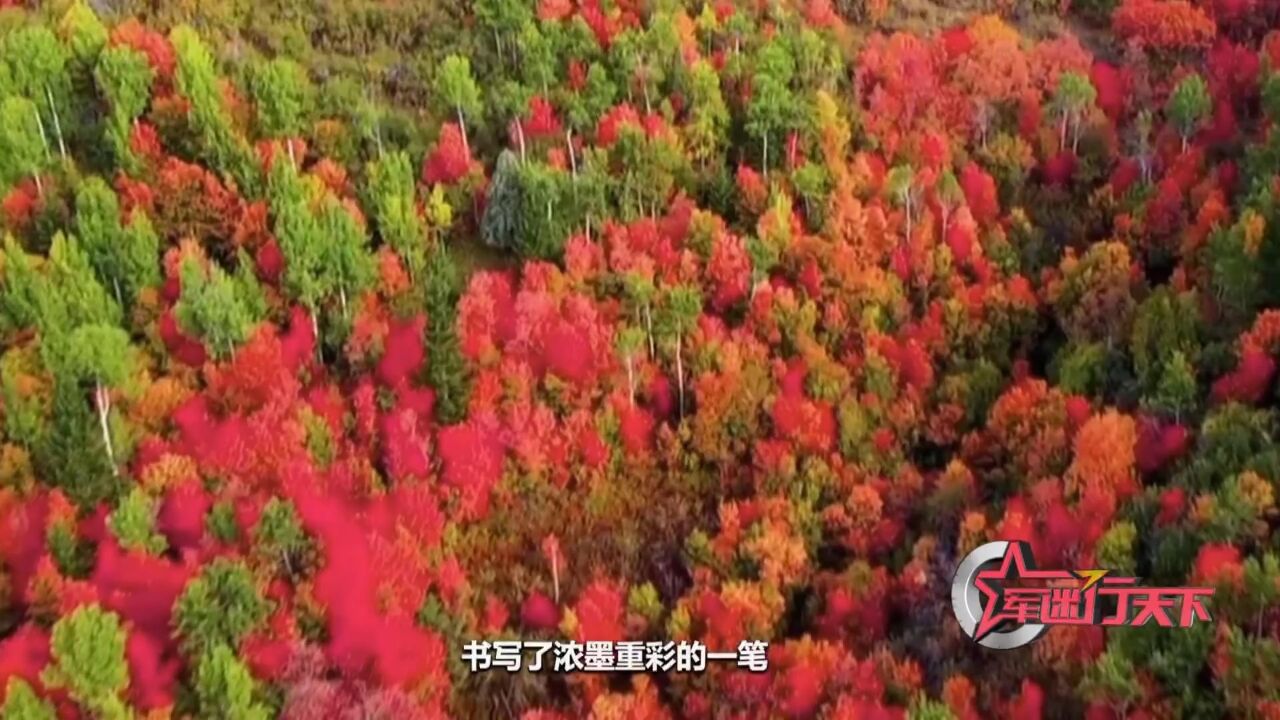 香山不只有红叶,还有许多你不知道的红色历史印记!