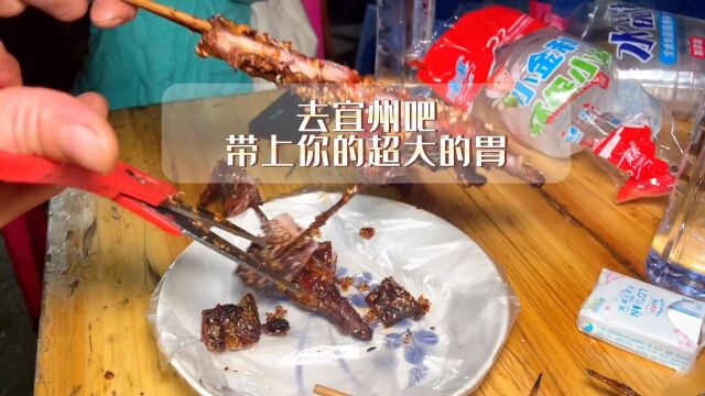 吃烧烤总要去一趟宜州吧,带上你大胃的好朋友#柳州美食