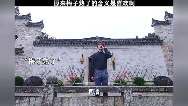 原来梅子熟了的含义是喜欢啊