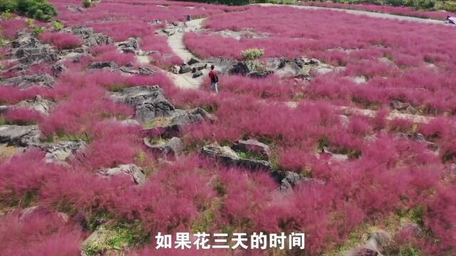 酉阳自驾游三日小环线,叠石花谷国庆不开放