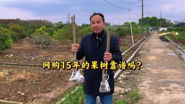 网上假苗骗子多,为何受骗的人不少?骗术高明?心甘情愿被骗?#假苗木 #果树 #葡萄 #网购