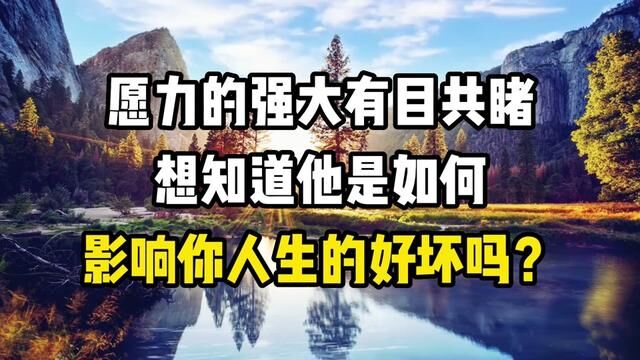 愿力的强大有目共睹,你知道他是如何影响你人生的好坏吗? #心学智慧 #国学文化 #传统文化 #愿力有多神奇 #觉知