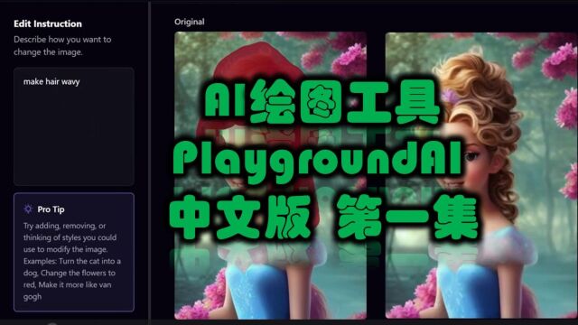 AI绘图工具PlaygroundAI 中文版使用方法 第一集