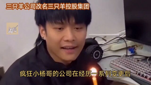 疯狂小杨哥公司更名