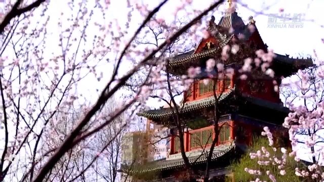 央媒看太原|太原:春天如诗 风景如画