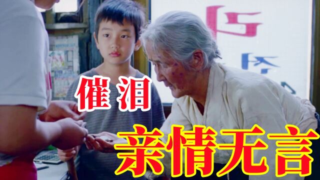 豆瓣9.1分的催泪神作,催泪感人的无私亲情,《外婆的家》看哭了