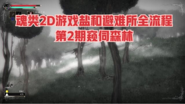 魂类2D游戏盐和避难所全流程:第2期窥伺森林