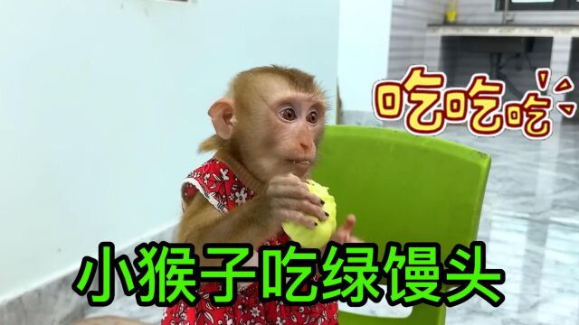 第19集丨小猴子不爱吃蔬菜 主人用心良苦把蔬菜做成了绿色的馒头 话说你们吃过绿色的馒头吗?