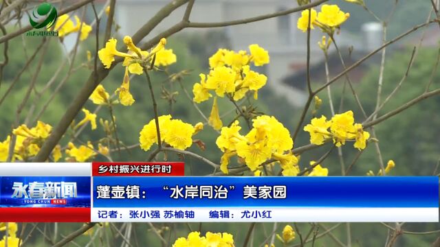 【乡村振兴进行时】蓬壶镇:“水岸同治”美家园