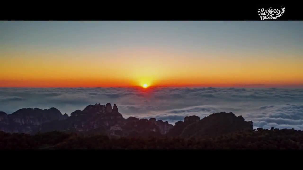 山西陵川:连翘“花开”太行山