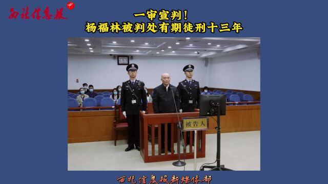 一审宣判!杨福林被判处有期徒刑十三年