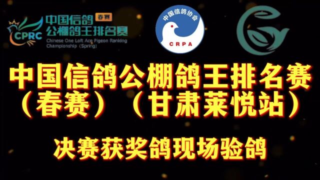 中国信鸽公棚鸽王排名赛(甘肃莱悦站)决赛获奖鸽现场验鸽