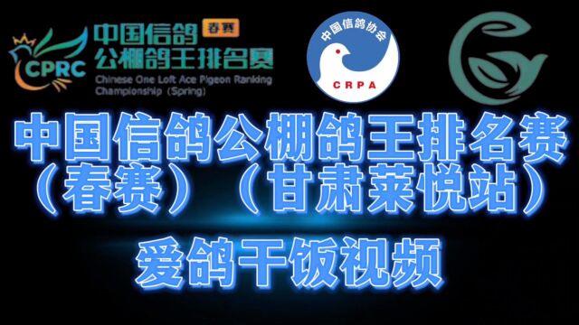 中国信鸽信鸽公棚鸽王排名赛春赛甘肃莱悦站爱鸽干饭视频