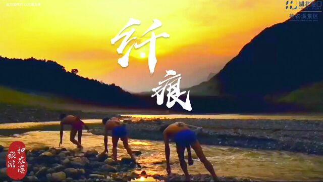 《梦回神农溪》