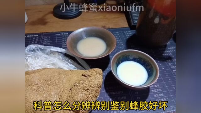 怎么分辨别哪种蜂胶品质好蜂胶的作用与功效吃法和用量服用多少食用方法蜂胶是什么 #蜂胶 #蜂王浆 #蜂蜜 蜂花粉关注小牛蜂蜜带你了解更多蜂知识蜂胶的...