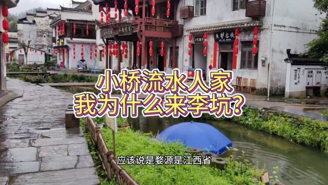 小桥流水人家为什么来李坑,是为了梦里老家忘不了的婺源高山绿茶