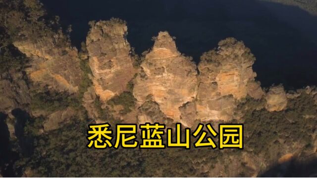 悉尼蓝山公园