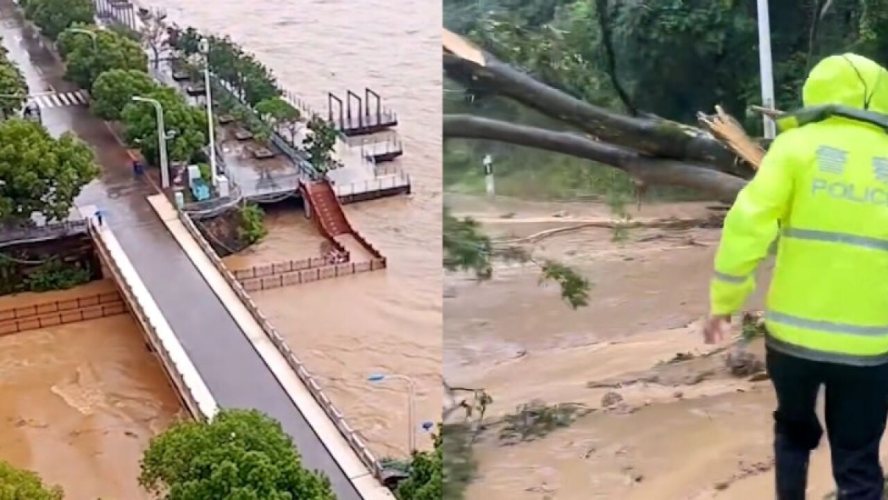 最大降水量超262毫米!福建南平突降暴雨:河道涨水,有树木倒塌