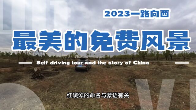 最美的风景都是免费的,偶遇红碱淖风景区后面的庄稼地……