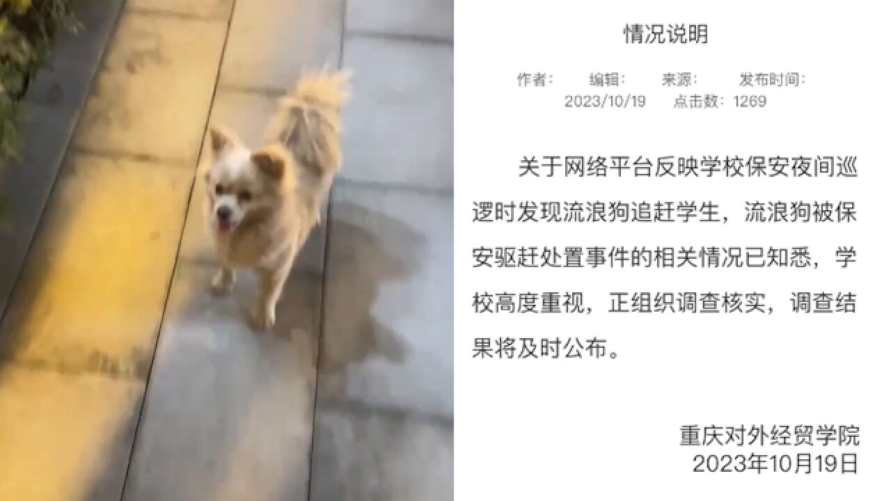 重庆一高校保安抓捕打死流浪狗,引众怒?学校:正组织调查核实