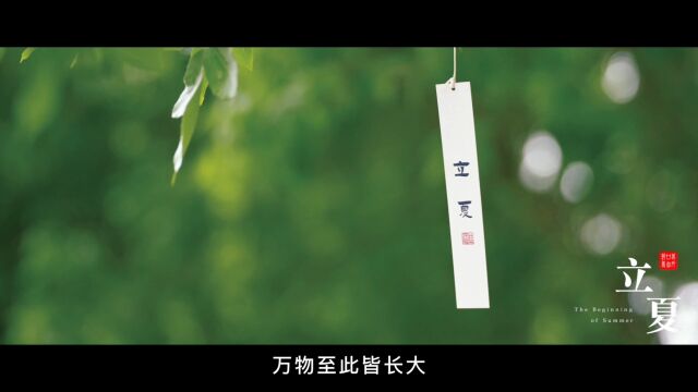 北外二十四节气|立于当夏,来缅甸清凉一“夏”