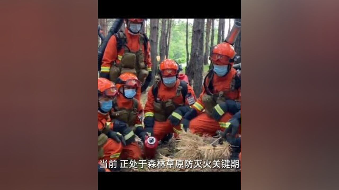 珍爱森林资源,守护美丽家园